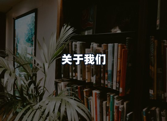 关于我们